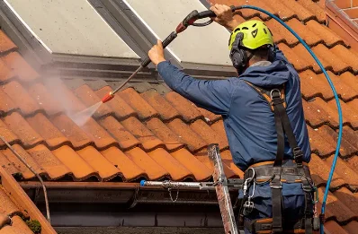 Démoussage et hydrofuge de toiture à Condéon